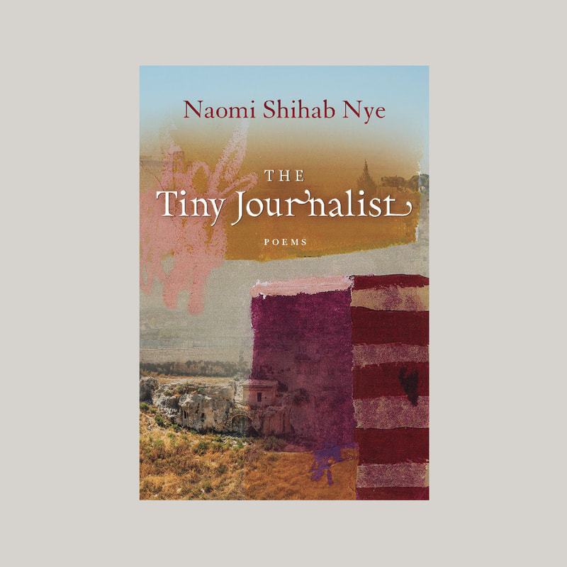 Naomi Shihab Nye_The Tiny Journalist_book