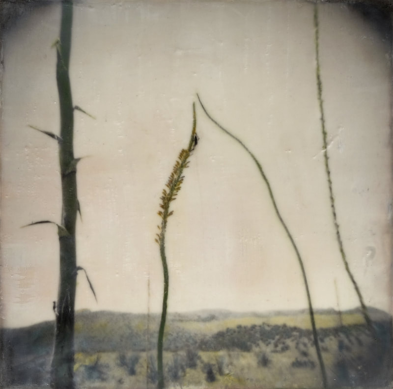 tall grass photo collage