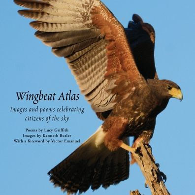 bird book cover